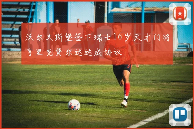 沃尔夫斯堡签下瑞士16岁天才门将亨里克费尔达达成协议