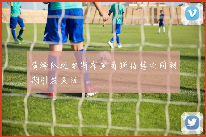 黄蜂队迈尔斯布里奇斯待售合同到期引发关注